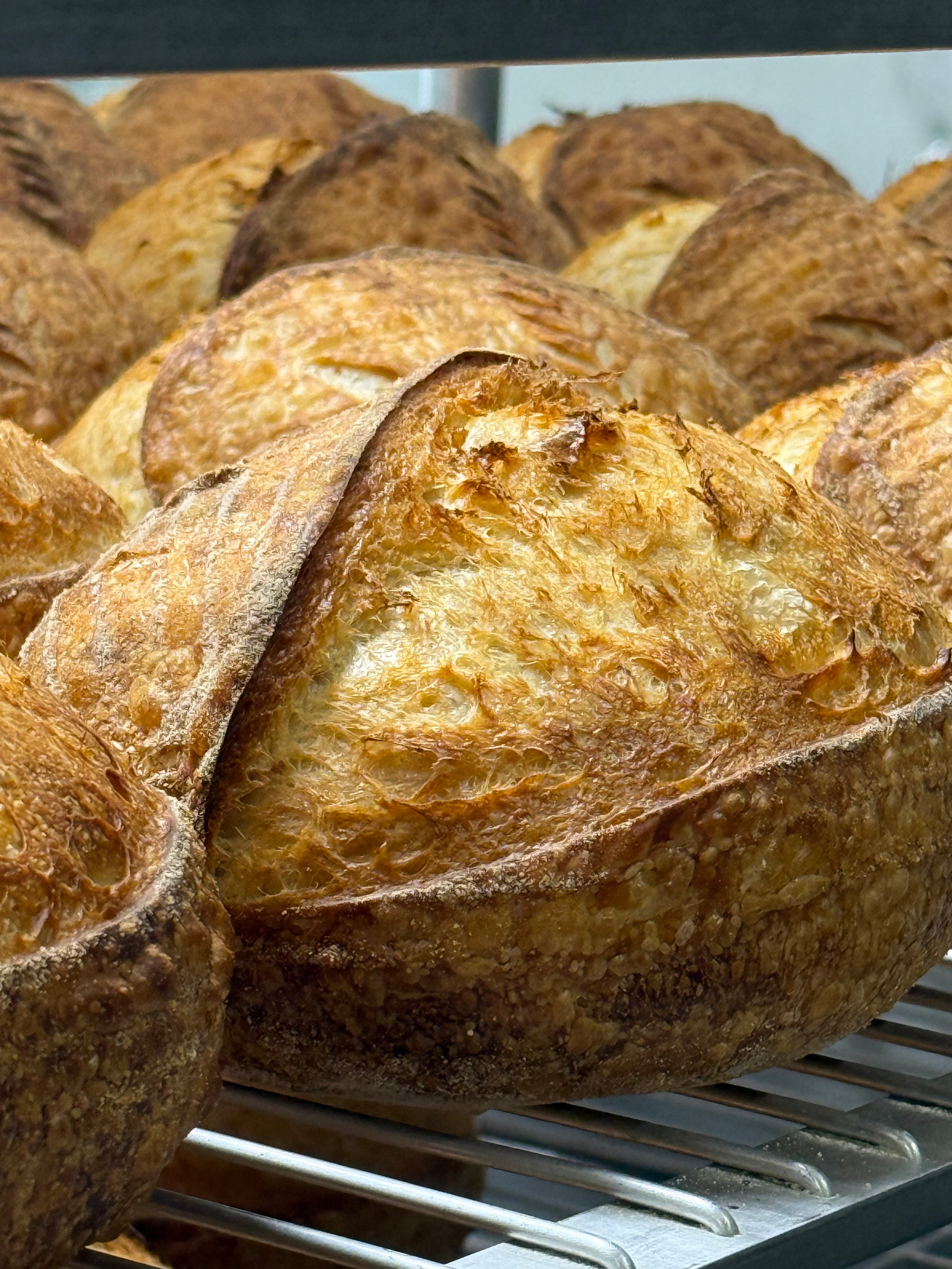 Organic Sourdough - Country Loaf