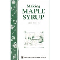 Making Maple Syrup 